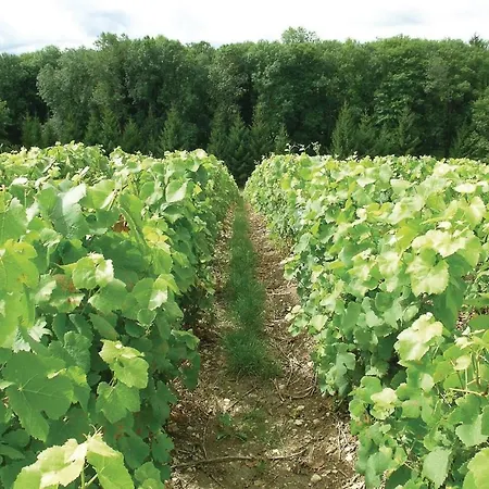 Rue De Crais Feriehus *